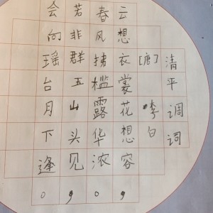 孤勇者的演奏视频