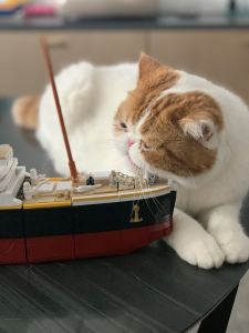 安东·鲁宾斯坦F大调旋律的演奏视频