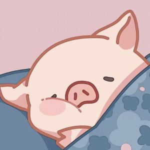 但愿人长久的演奏视频