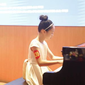 孤勇者的演奏视频