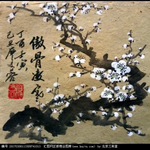 的演奏视频
