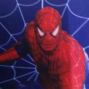 となりのトトロ的演奏视频