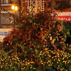 兰亭序的演奏视频