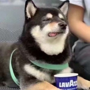 没睡醒的二苟