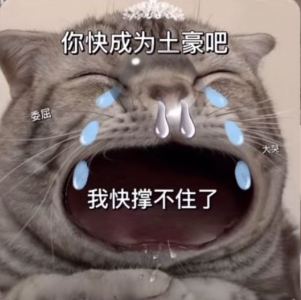 137****2377的钢琴谱