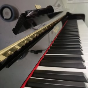 梦中的婚礼的演奏视频