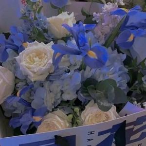 镜中渊的演奏视频