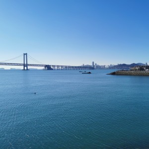 Croatian Rhapsody的演奏视频