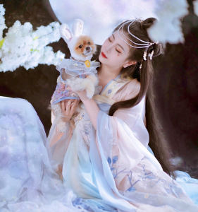 大鱼的演奏视频