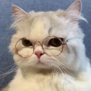 曹操的演奏视频