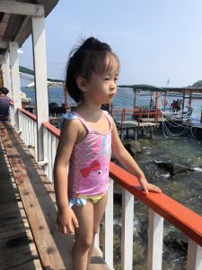 账号已注销的演奏视频