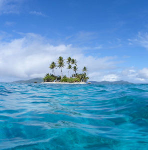 Flower Dance的演奏视频