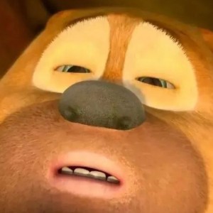 普通Disco的演奏视频