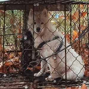 夜的钢琴曲五的演奏视频