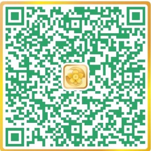 Minecraft的演奏视频