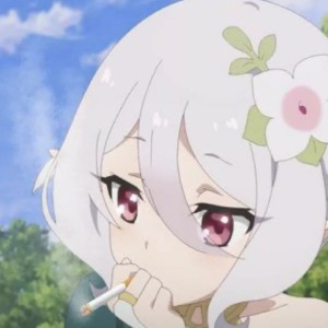 的演奏视频