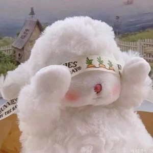 发如雪的演奏视频