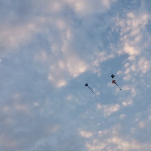 晴天的演奏视频