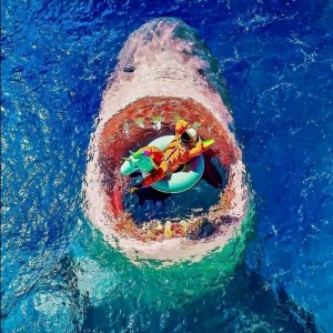 玫瑰少年的演奏视频