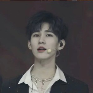 朱雀的演奏视频