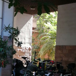 一个balabala人的钢琴谱