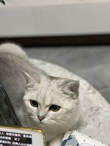 189****9064的钢琴谱