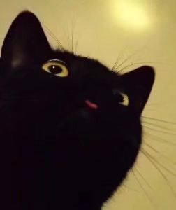 遗失的心跳的演奏视频