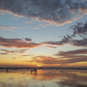 我的歌声里的演奏视频