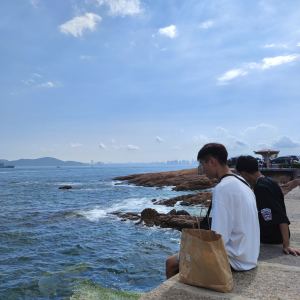 探長的钢琴谱