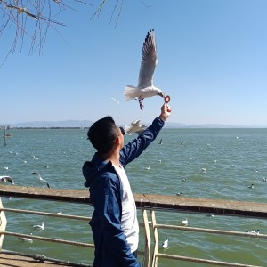 D大调卡农的演奏视频