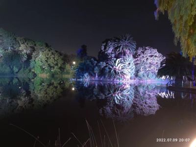 爱的回归线的演奏视频