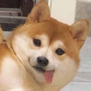 Illusionary Daytime的演奏视频