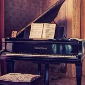 献给爱丽丝的演奏视频