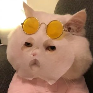 遗失的心跳的演奏视频