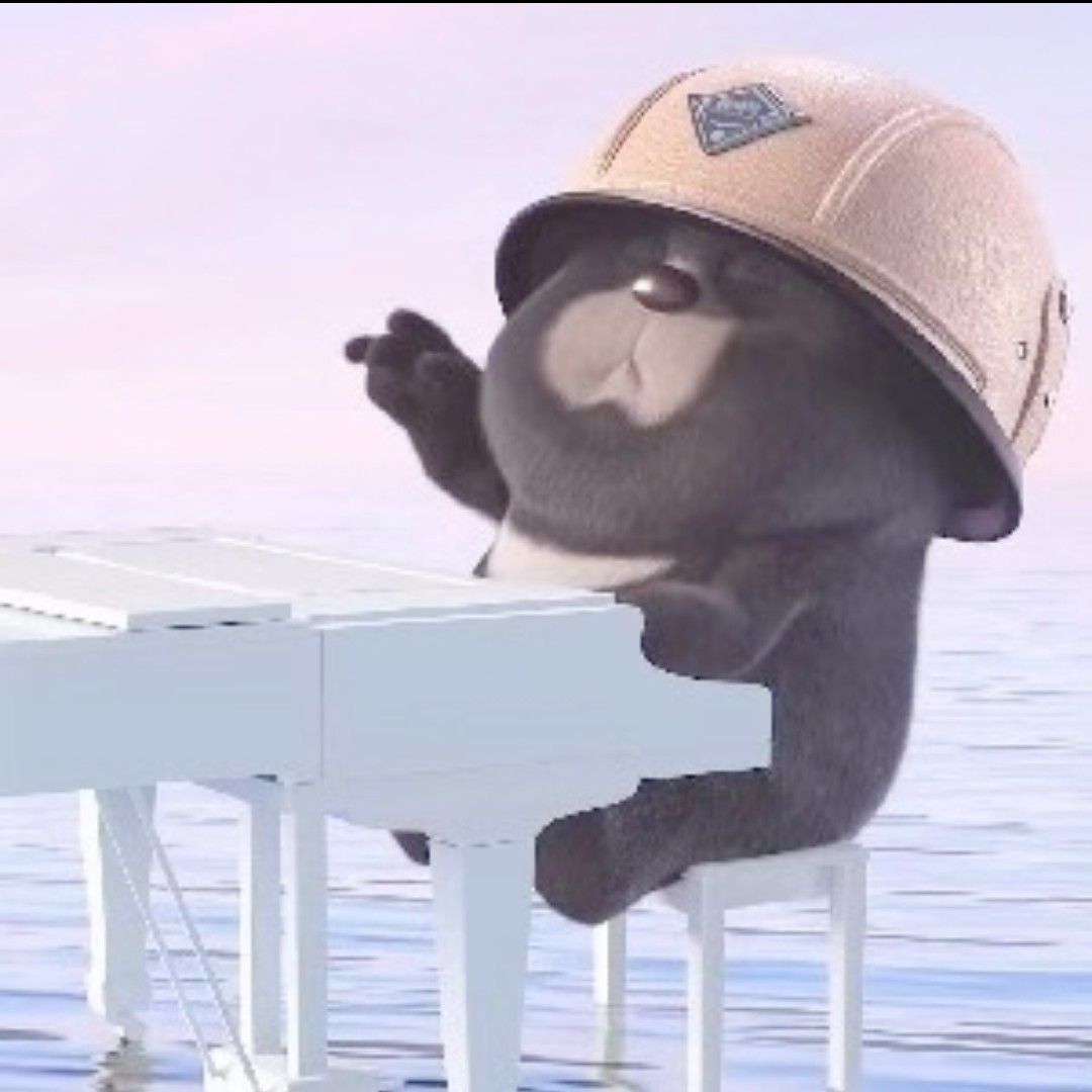 钢琴熊的个人空间