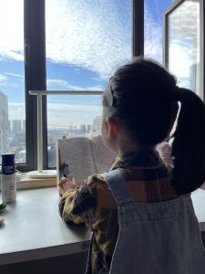 萱草花的演奏视频