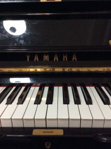 Croatian Rhapsody的演奏视频