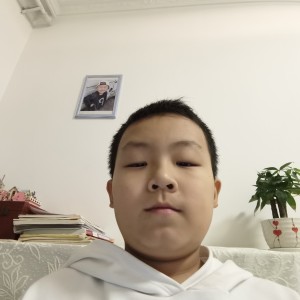 第1条的演奏视频