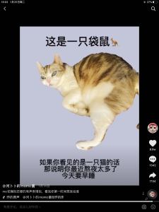 爱你 (王心凌)的演奏视频