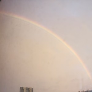 137****1690的钢琴谱