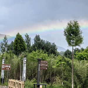 不为谁而作的歌的演奏视频