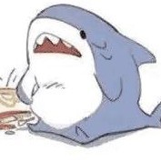 搁浅的演奏视频