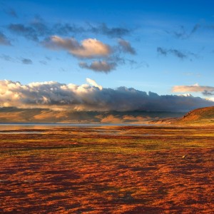 Tassel的演奏视频