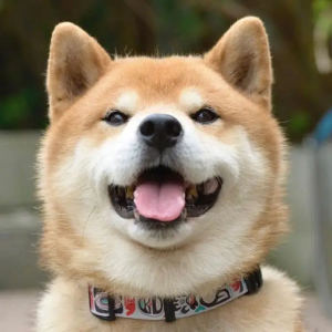 138****1778的钢琴谱