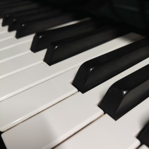 电摇小子的个人空间