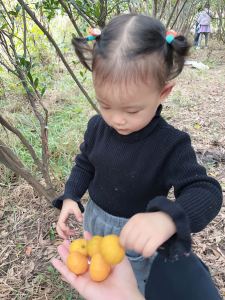 156****8935的钢琴谱