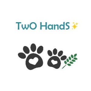 萱草花的演奏视频