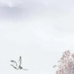 133****5967的钢琴谱