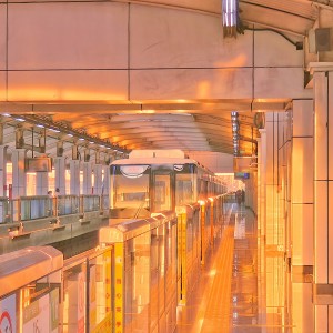 郁金香的演奏视频