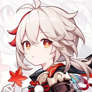疾如猛火的演奏视频